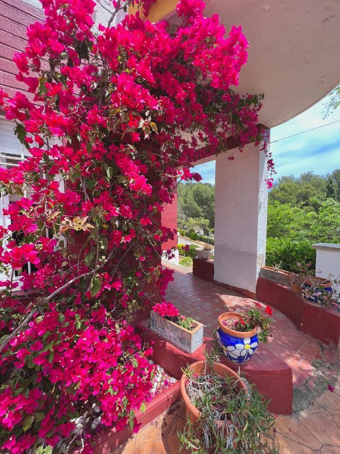 Apartamentos Famara Лорет де Мар Екстериор снимка
